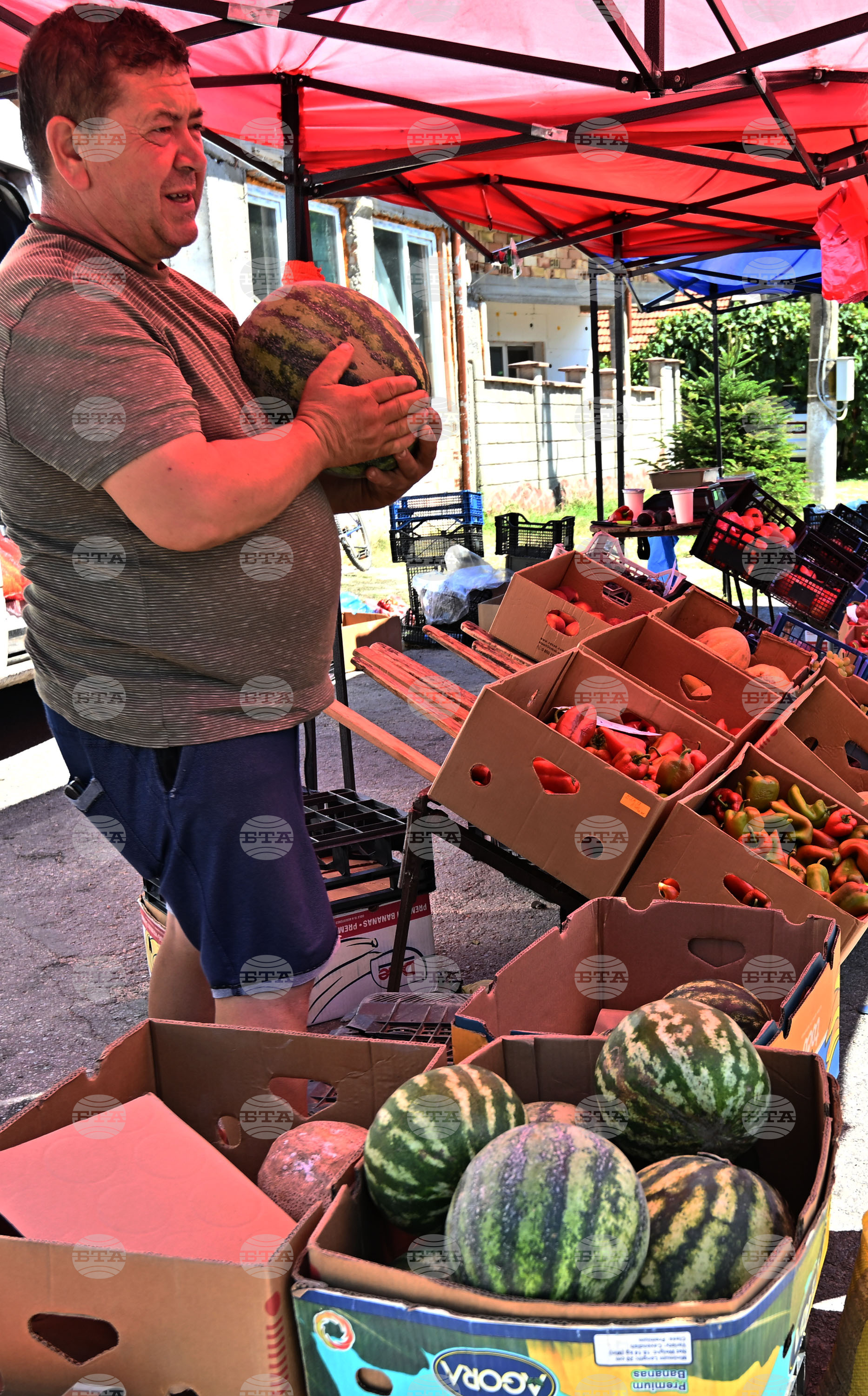 Село Подайва - неделен пазар