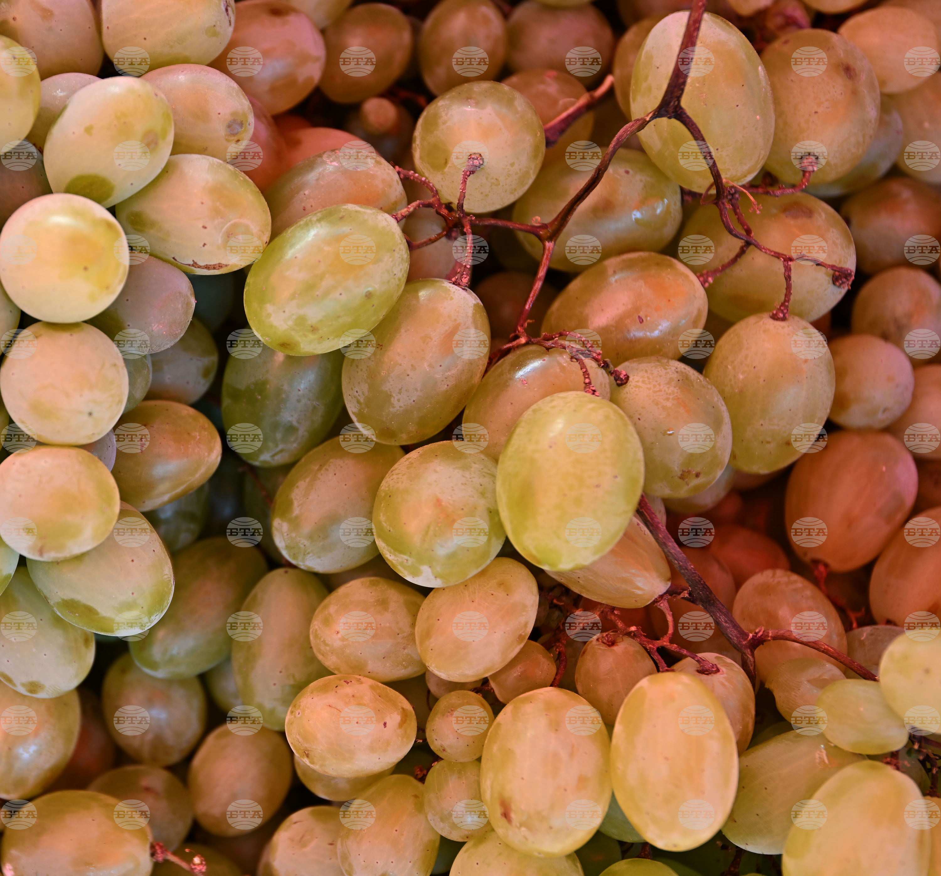 Село Подайва - неделен пазар