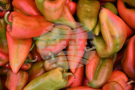 Село Подайва - неделен пазар