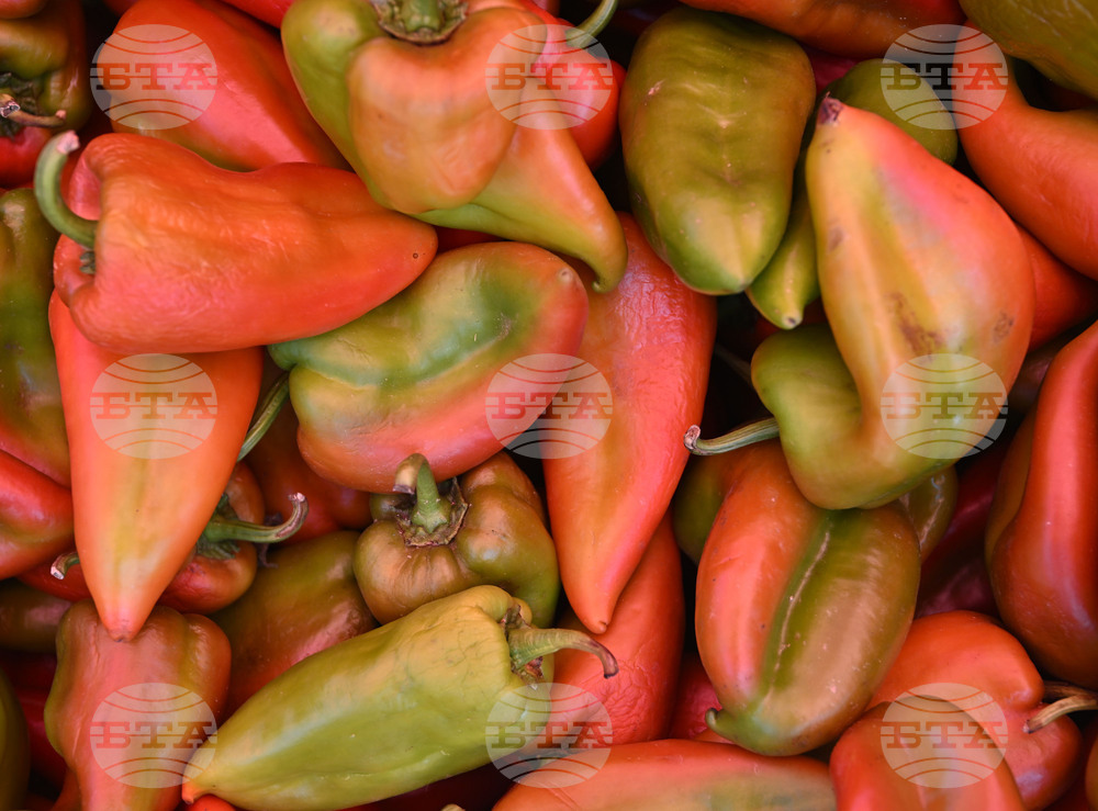 Wholesale Prices of Fruit, Vegetables Up in Past Week