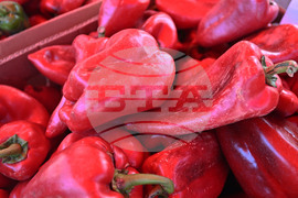 Село Подайва - неделен пазар