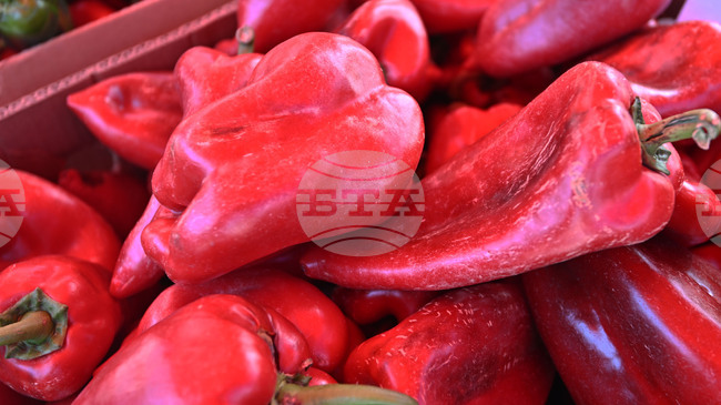 Bulgarian Food Safety Agency Returns 11.6 Tonnes of Peppers to North Macedonia After Pesticide Detection