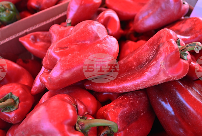 Празник на плодородието организират за поредна година в ямболското село Зимница