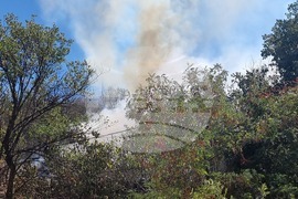 Пловдив - пожар