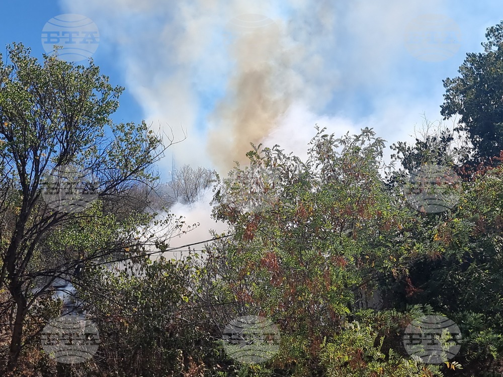 Пловдив - пожар