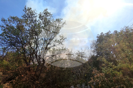 Пловдив - пожар