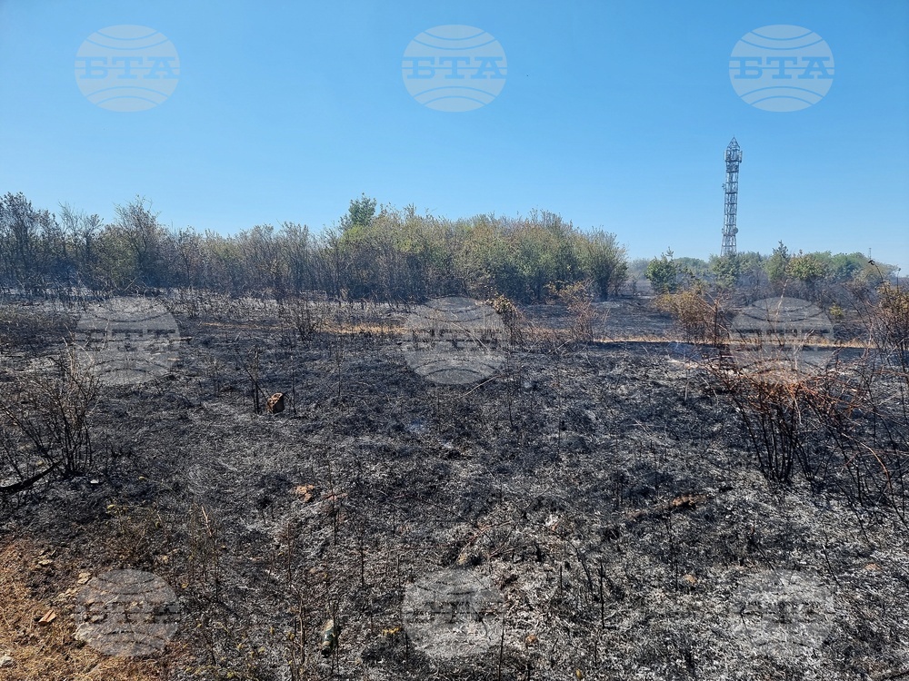 Пожар гори край село Габровница в община Монтана, три екипа гасят огъня