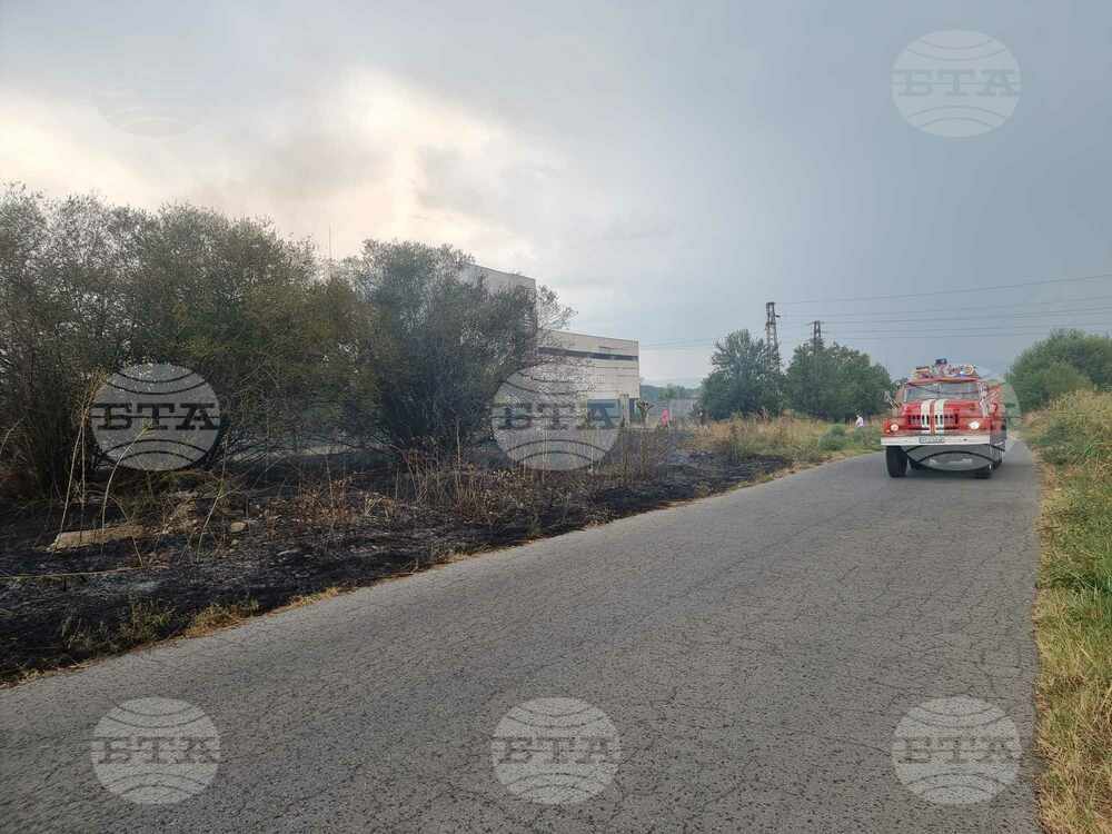 Овладян е пожарът при село Тишаново в община Невестино, казаха от полицията