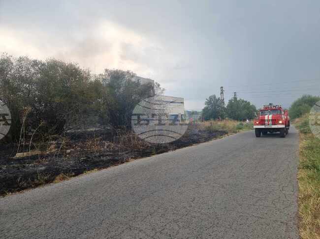 Овладян е пожарът при село Тишаново в община Невестино, казаха от полицията 