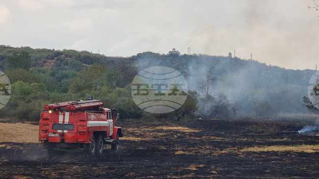 Късо съединение е предизвикало пожар в свинеферма в Дупница, при който са изгорели животни, а собственикът им е пострадал