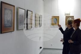 Хасково – изложба - Ивайло Каменов - Росица Халачева