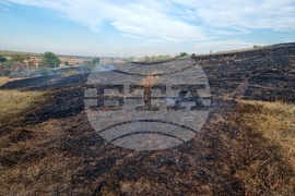 Село Габровница - пожар