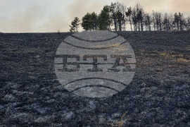 Село Габровница - пожар