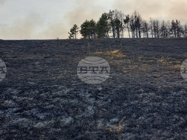 Село Габровница - пожар