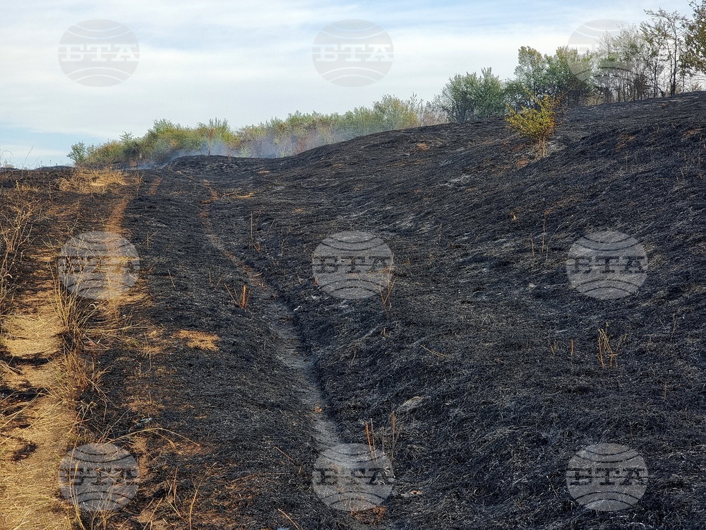 Пожарът в близост до село Нови хан е овладян, съобщиха от Община Елин Пелин