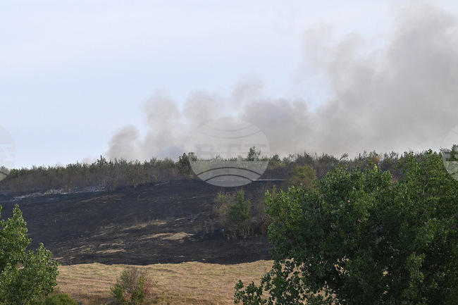 Учение със стрелби в Смолян предизвика пожар в сухи треви и храсти, пламъците са загасени
