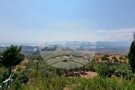 Турция - Анталия - Олимпос - Адрасан - Кумлуджа