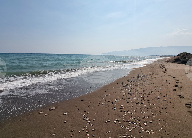 Няма случаи на инфекция с опасните за човека бактерии вибрио в Турция, увери здравното министерство на страната