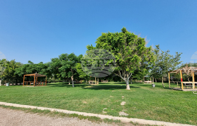 Турция разработва наръчник за засаждане на растения за цялата страна като част от борбата с климатичните промени