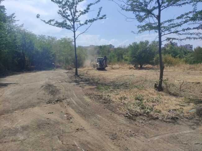 Нов пазар за грозде в гр. Дупница