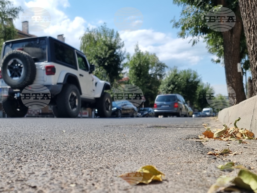 Над 70 процента от установените нарушения в специализирана операция в Кърджалийско са за превишена скорост по пътя за ГКПП “Маказа“