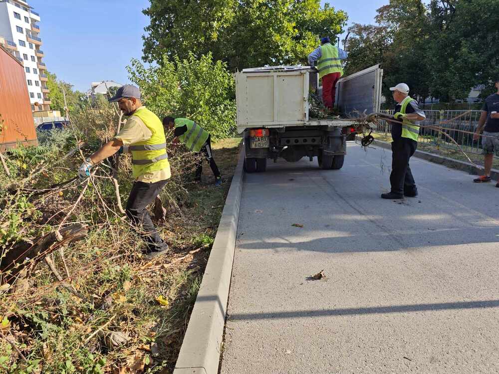 Община Плевен: Общински екипи продължават с почистването на изрязаните сухи клони в Плевен