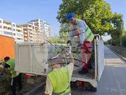 Снимка: Община Плевен