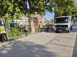 Снимка: Община Плевен