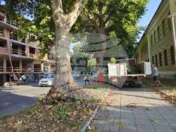 Снимка: Община Плевен