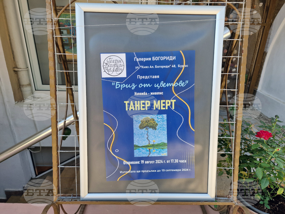 Бургас - галерия „Богориди“ - Танер Мерт - изложба