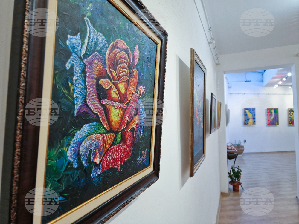 Бургас - галерия „Богориди“ - Танер Мерт - изложба