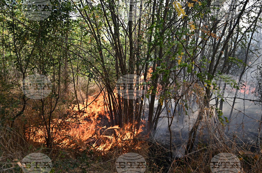 Жена на 73 години загина при пожар в дома си в Исперих, съобщиха от полицията 