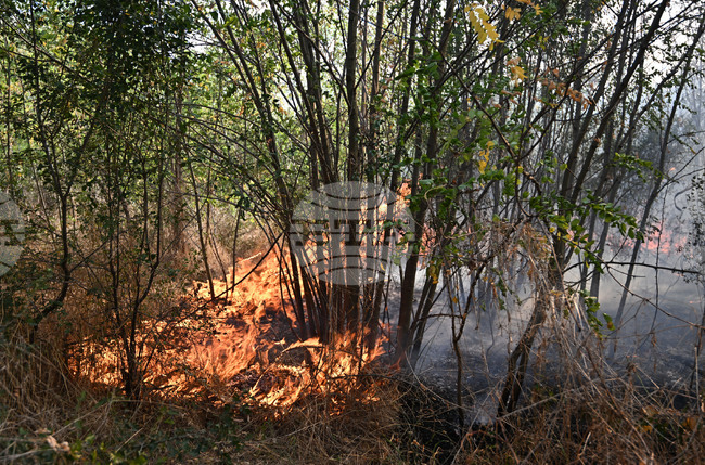 Жена на 73 години загина при пожар в дома си в Исперих, съобщиха от полицията 