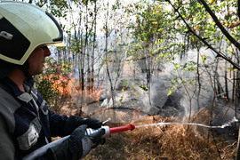 Село Къпиновци - гора - пожар