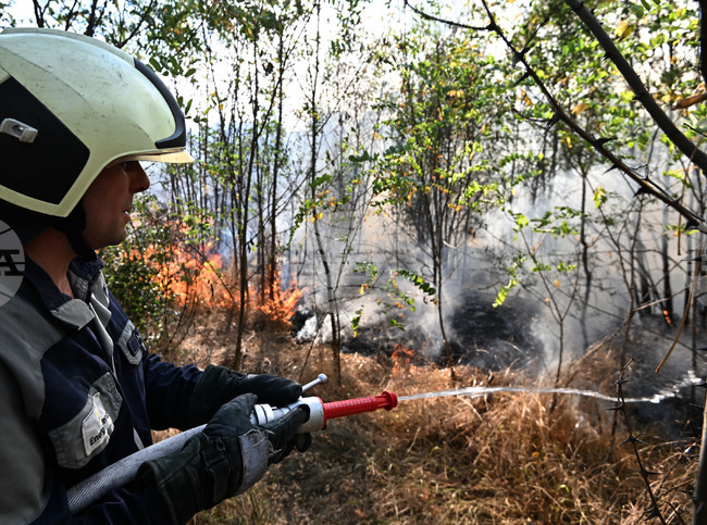 Село Къпиновци - гора - пожар