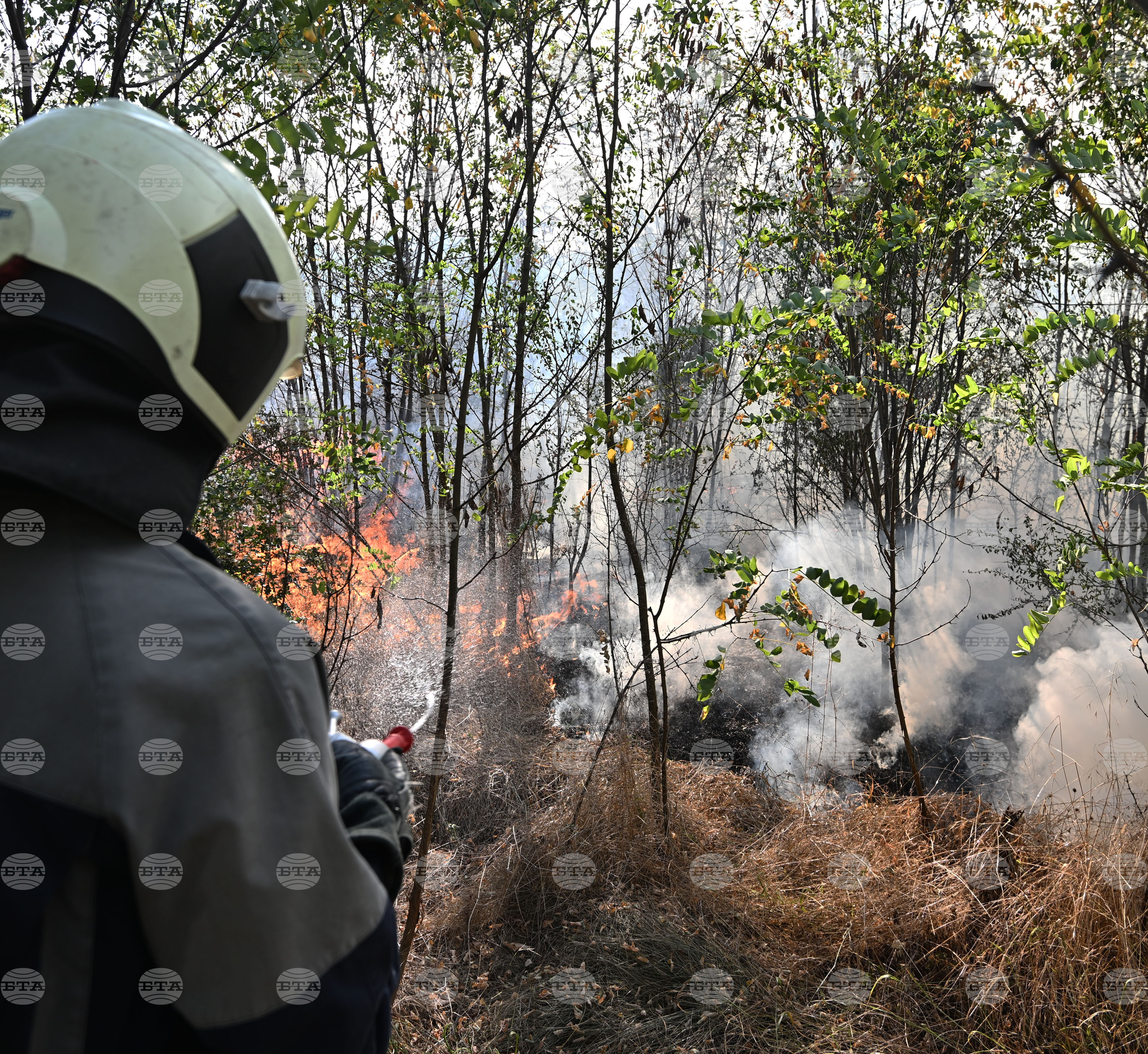 Село Къпиновци - гора - пожар