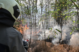 Село Къпиновци - гора - пожар