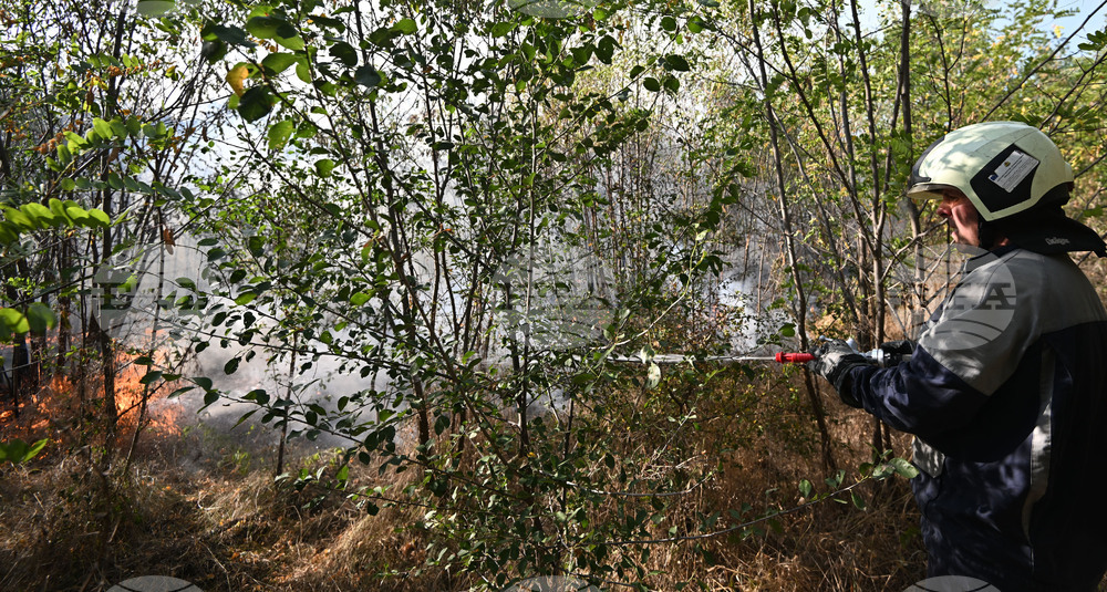 Село Къпиновци - гора - пожар