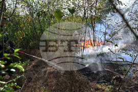 Село Къпиновци - гора - пожар