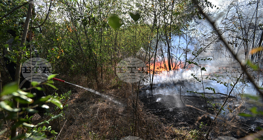 Село Къпиновци - гора - пожар