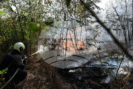 Село Къпиновци - гора - пожар