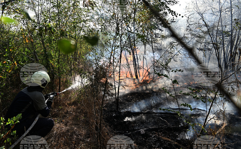 Село Къпиновци - гора - пожар