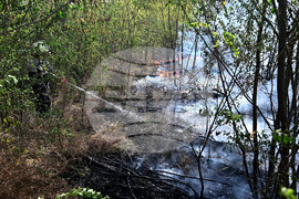 Село Къпиновци - гора - пожар