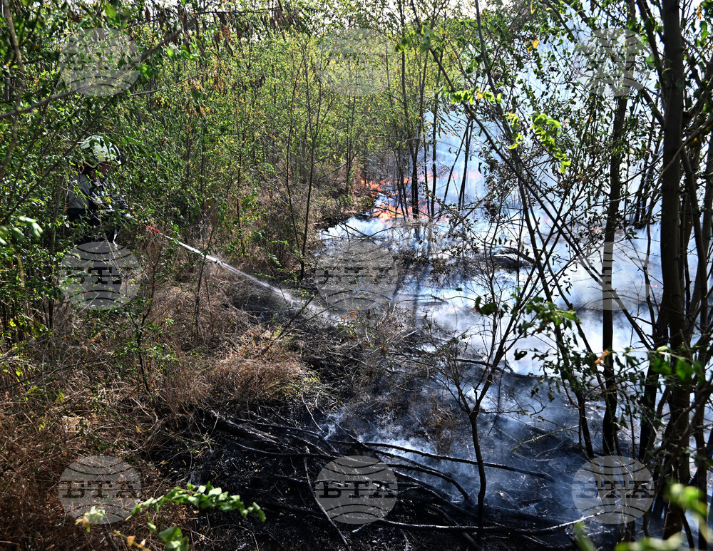 Село Къпиновци - гора - пожар