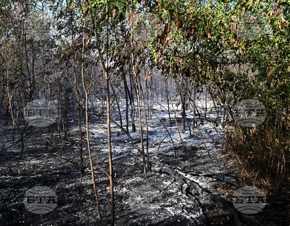 Село Къпиновци - гора - пожар