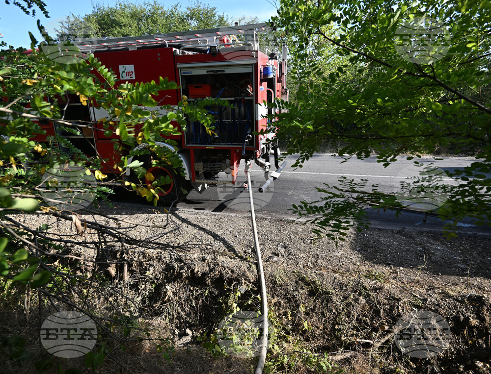 Село Къпиновци - гора - пожар