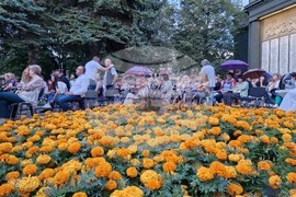 Самоков - „Вечер в музея"