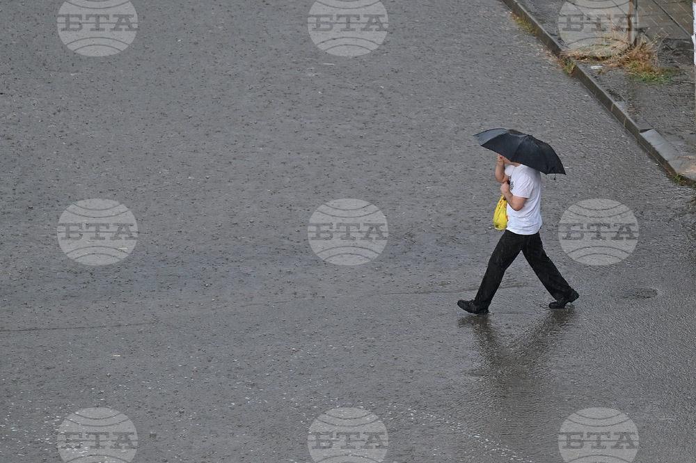 December 2024 Has Highest Precipitation for Last Month of Year since 2015, Show Meteorology Institute Data