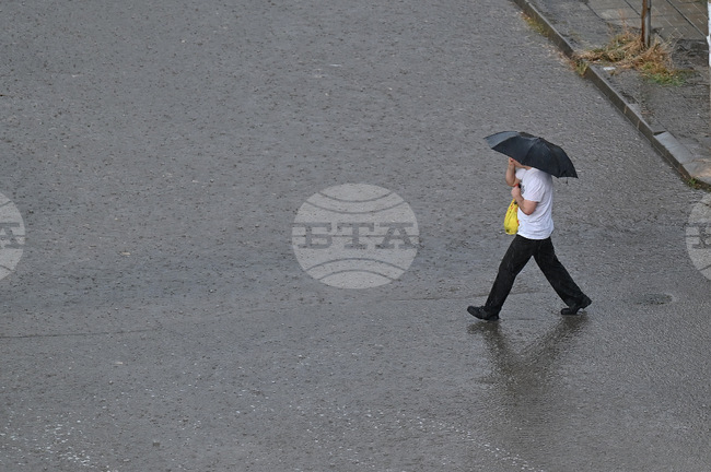 December 2024 Has Highest Precipitation for Last Month of Year since 2015, Show Meteorology Institute Data