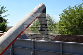 Село Божурово - слънчоглед - жътва